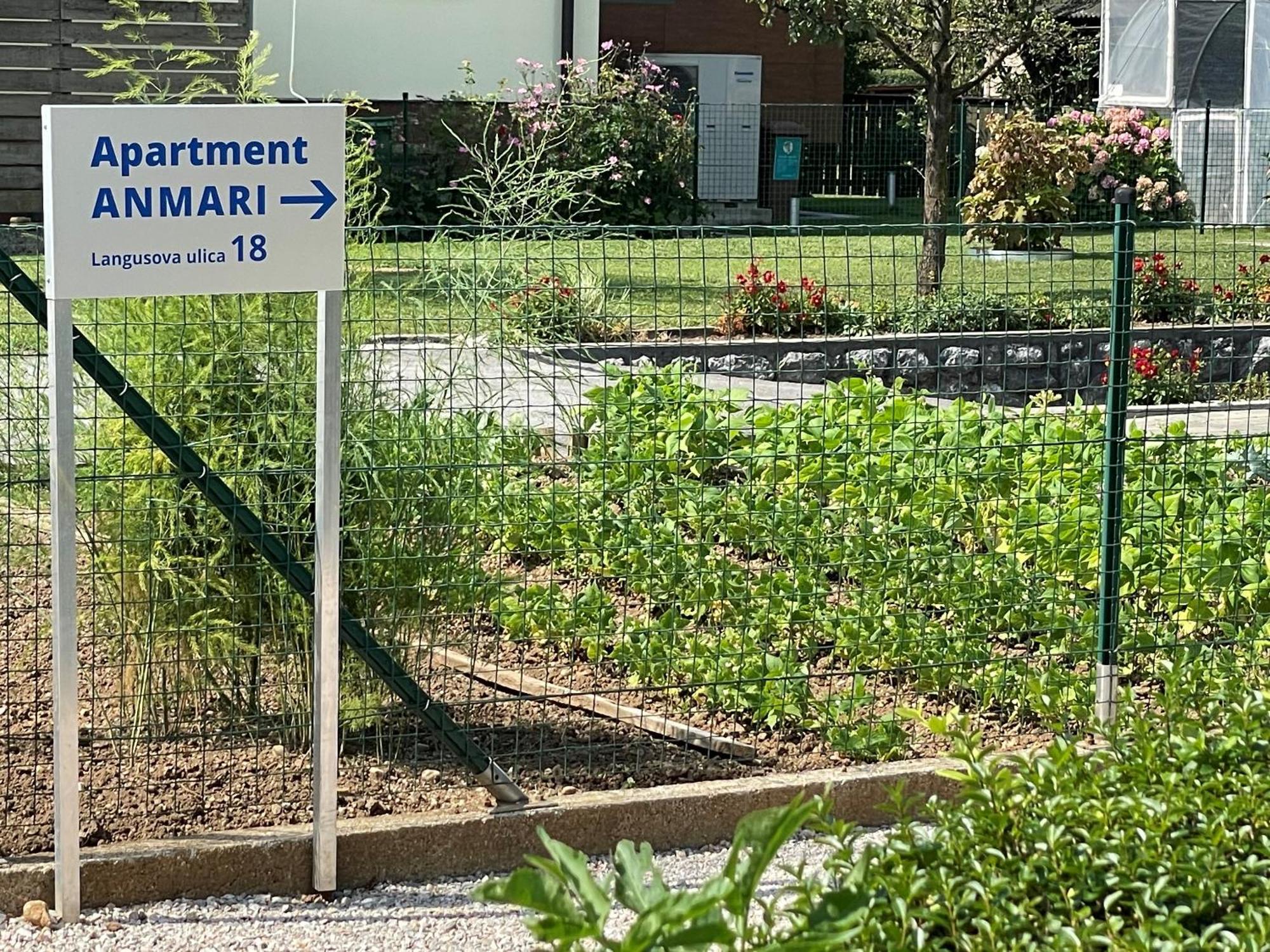 Apartment Anmari Радовлица Екстериор снимка